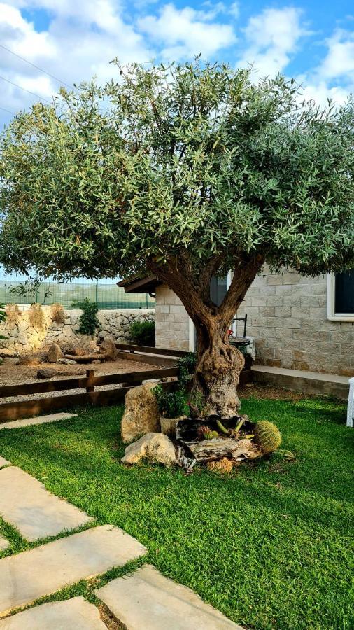 Dependance Oscar Apartment Carrozziere Fonte Ciane Exterior photo