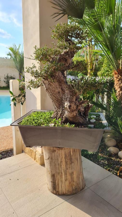 Dependance Oscar Apartment Carrozziere Fonte Ciane Exterior photo